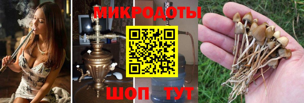 Галлюциногенные грибы Psilocybe  Галлюциногенные грибы MAGIC MUSHROOMS  Родники  Вход с VPN 
