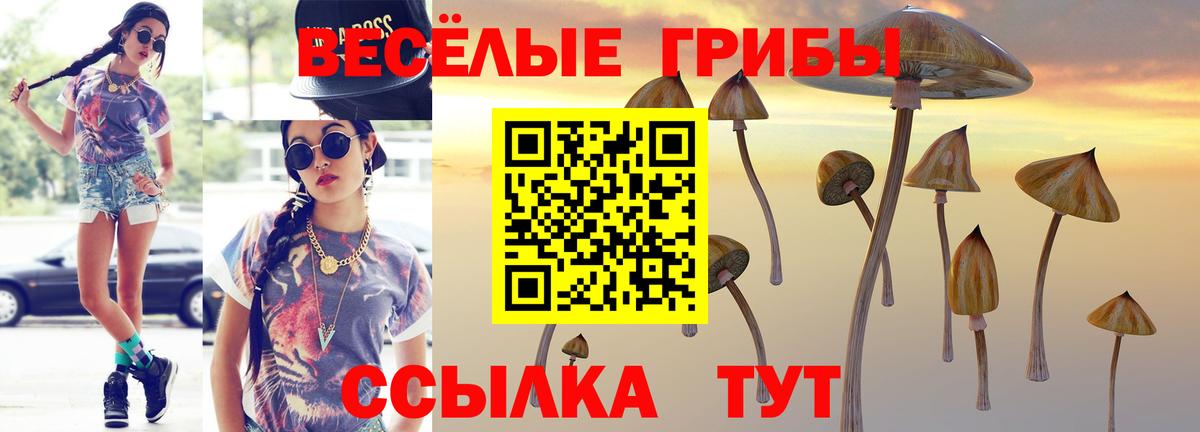 Галлюциногенные грибы GOLDEN TEACHER Родники